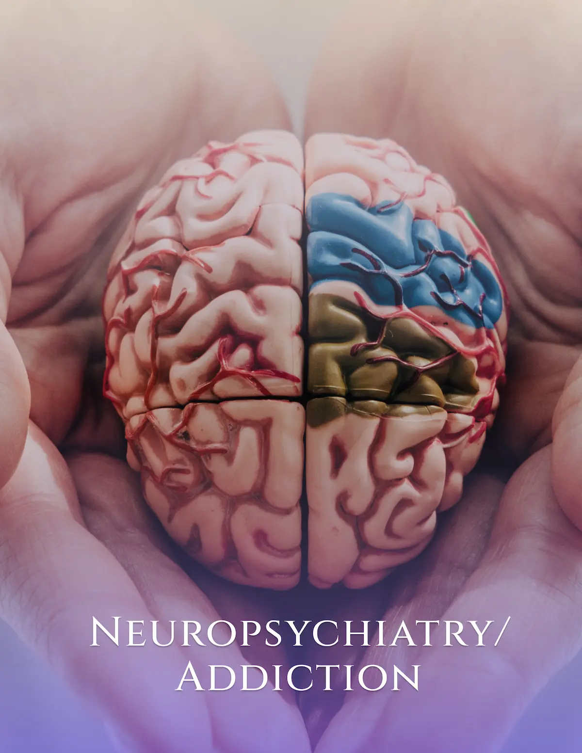 Neuropsychiatry/Addiction (Addiction Therapy)